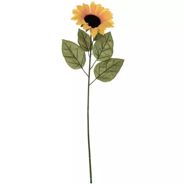 Sunflower Stem