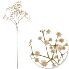 Ivory Baby's Breath Stem 29.5"