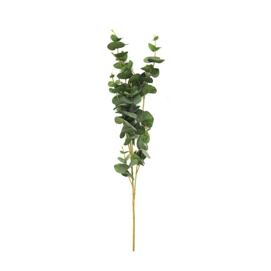 Dark Green Eucalyptus