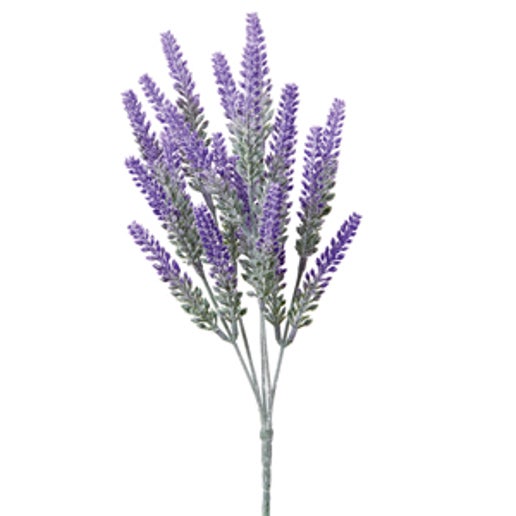 Lavender Bush