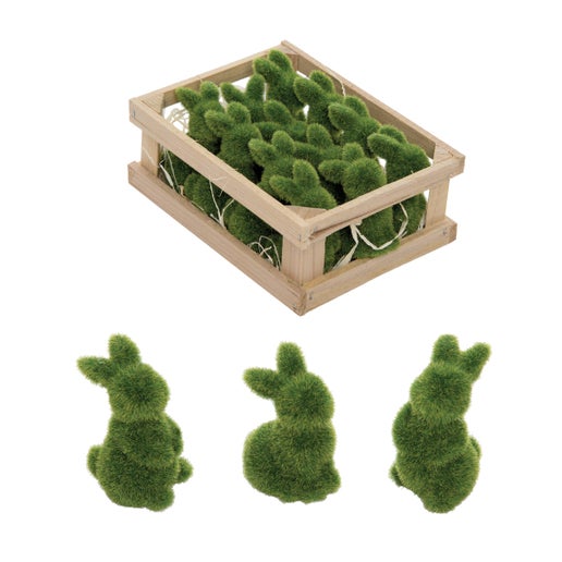 Moss Bunny Rabbit