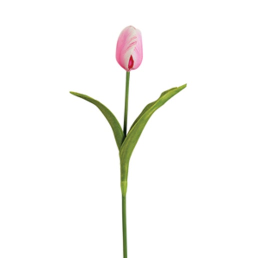 Pink Tulip Pick